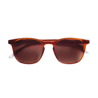 Anteojos de Sol Dalston - Glossy Intense Rust