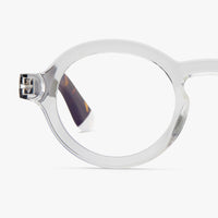 Anteojos Para Pantalla Charles - Crystal Combi