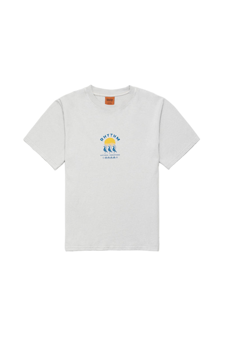 Polera Hombre Natural Vibrations Vintage - Stone