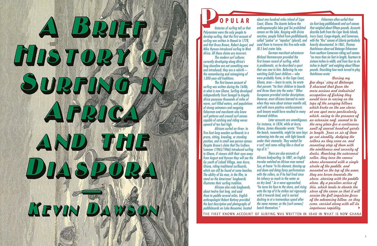 Libro Afro Surf