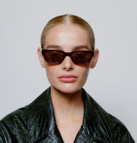 Anteojos de Sol Bror - Brown / Demi Light Brown Transparent