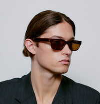 Anteojos de Sol Bror - Brown / Demi Light Brown Transparent