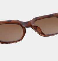 Anteojos de Sol Bror - Brown / Demi Light Brown Transparent