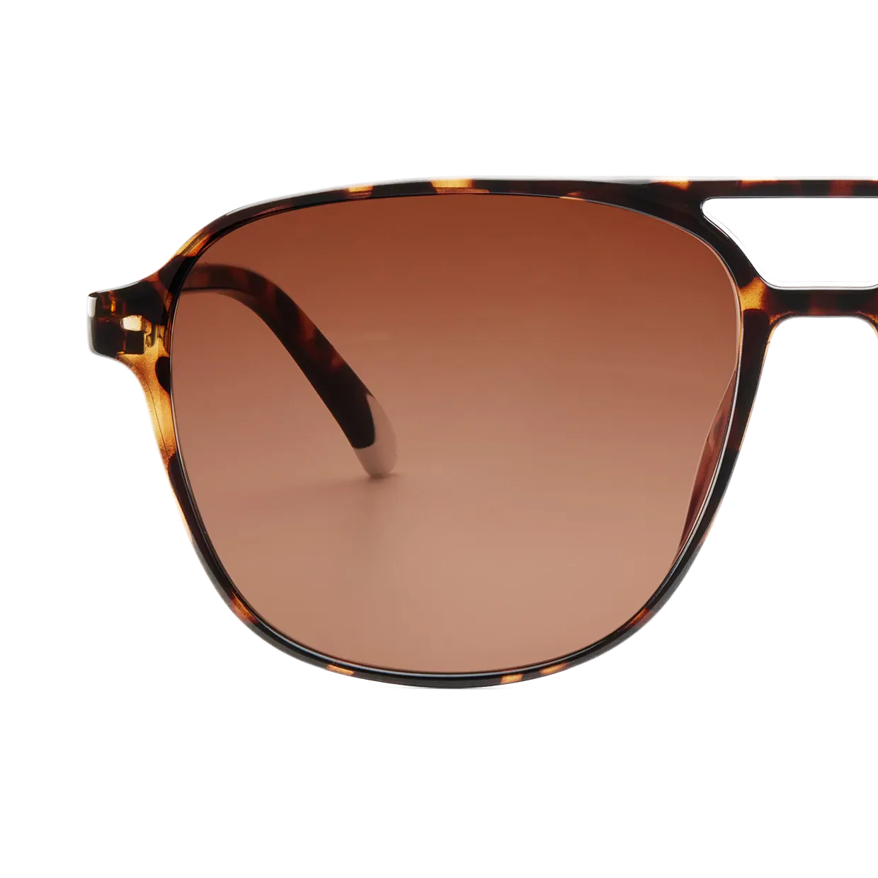 Anteojos de Sol Brad - Glossy Tortoise