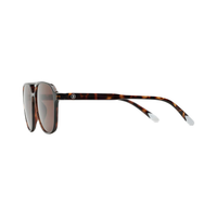 Anteojos de Sol Brad - Glossy Tortoise