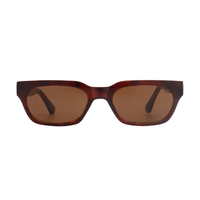 Anteojos de Sol Bror - Brown / Demi Light Brown Transparent