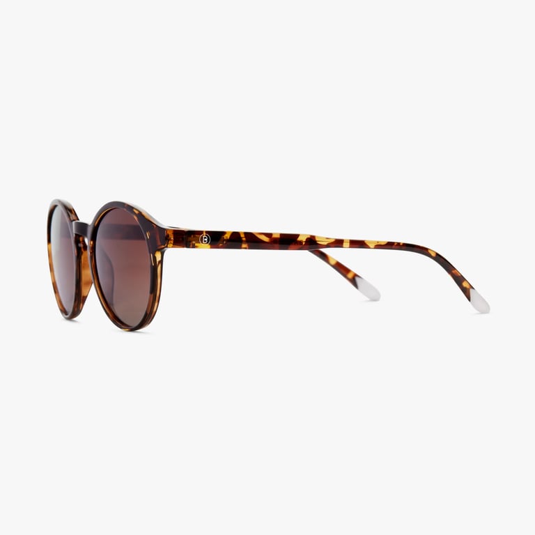 Anteojos de Sol Le Marais - Glossy Tortoise