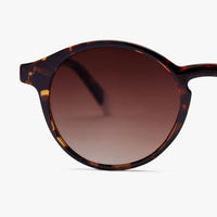 Anteojos de Sol Le Marais - Glossy Tortoise