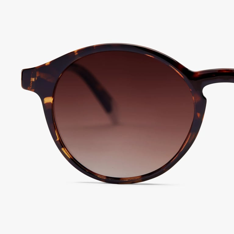 Anteojos de Sol Le Marais - Glossy Tortoise