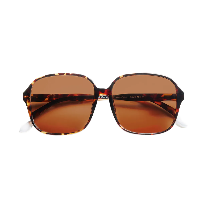 Anteojos de Sol Pascal - Glossy Tortoise