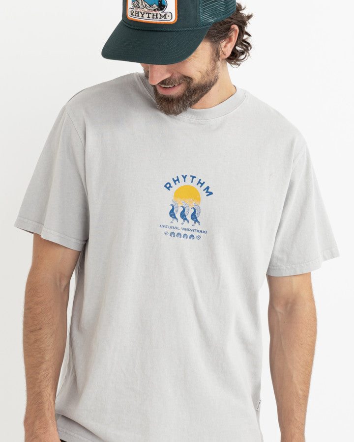 Polera Hombre Natural Vibrations Vintage - Stone