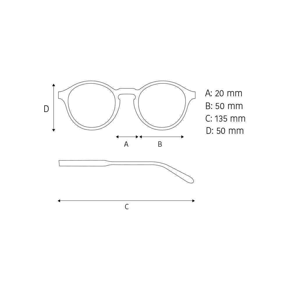 Anteojos Para Pantalla Le Marais Light Tortoise